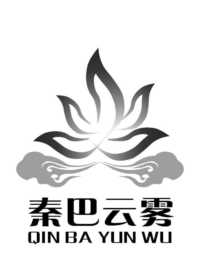 秦巴云雾