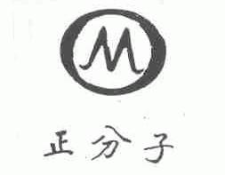 正分子