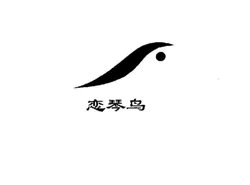 恋琴鸟