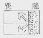 费隆