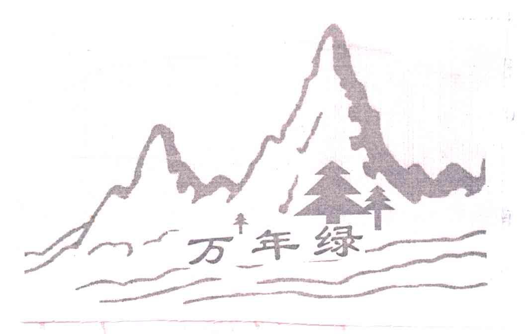 万年绿