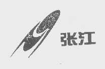 张江