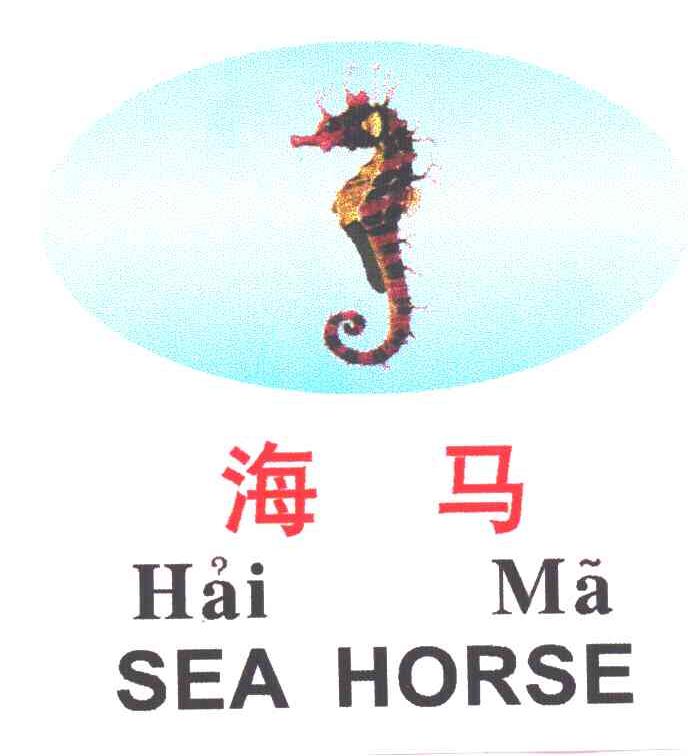 海马