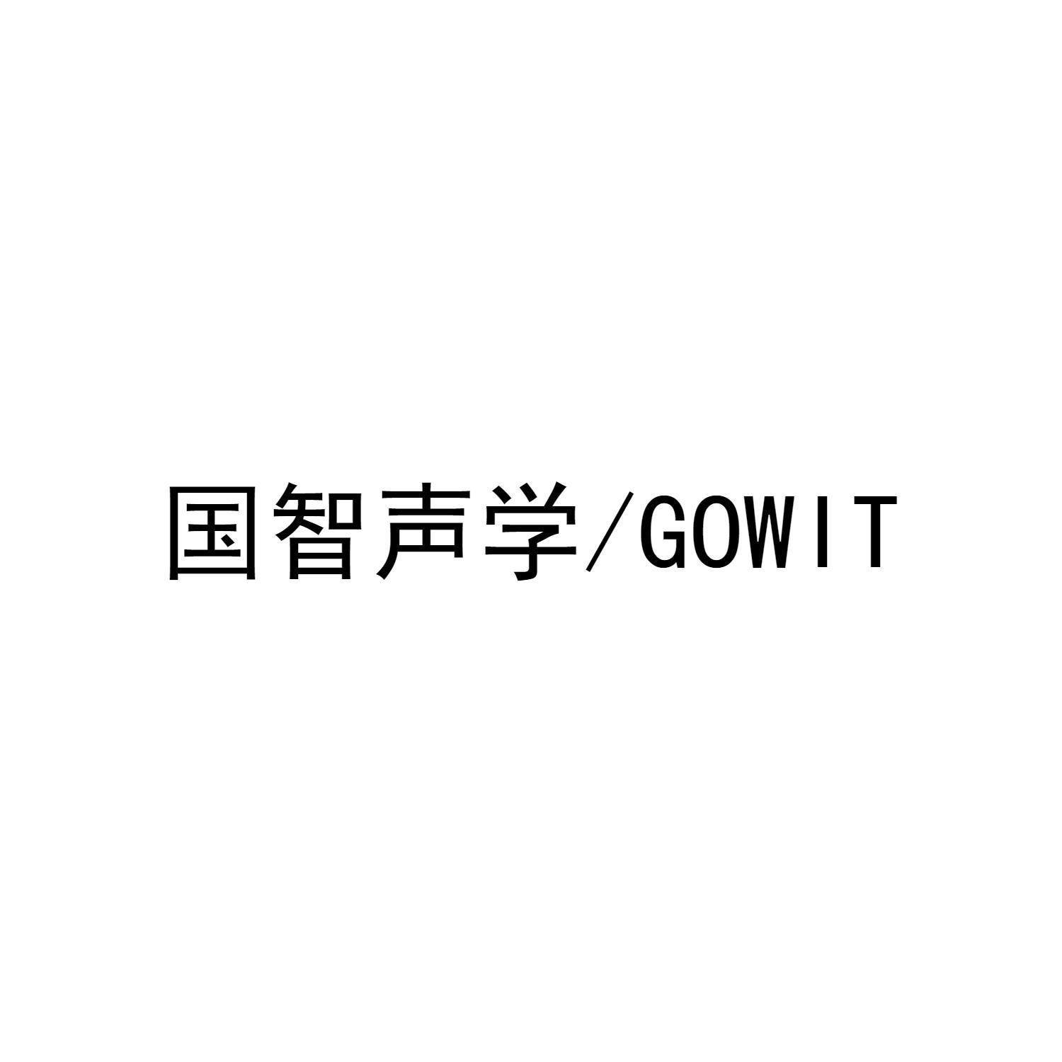 国智声学 GOWIT