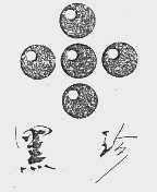 黑珍