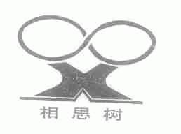 相思树