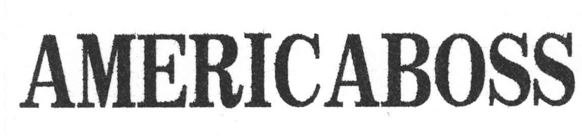 AMERICABOSS