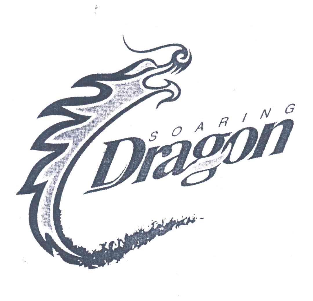 SOARINGDRAGON