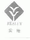实地;REALLY