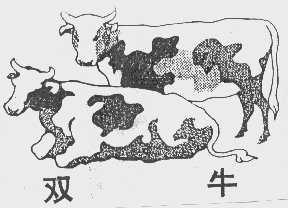 双牛