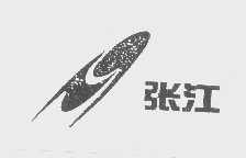 张江