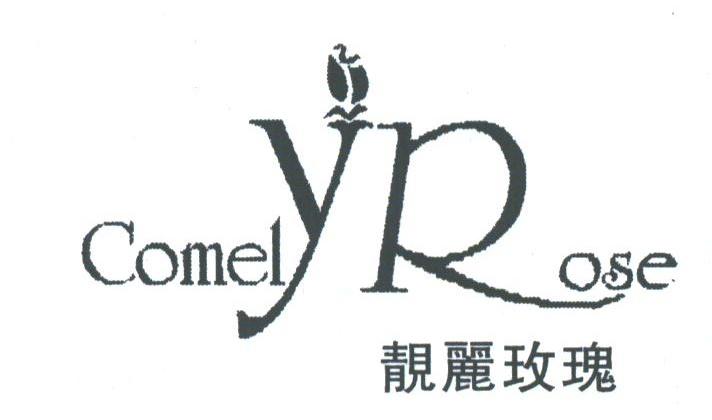 靓丽玫瑰;COMELY ROSE