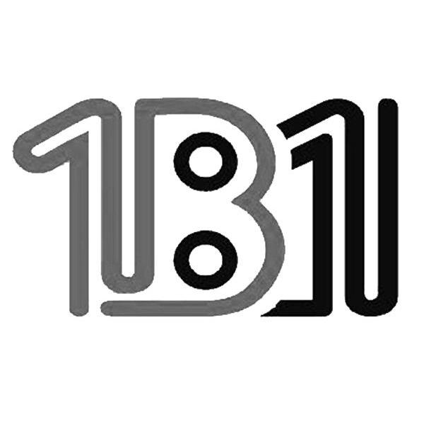 1B1