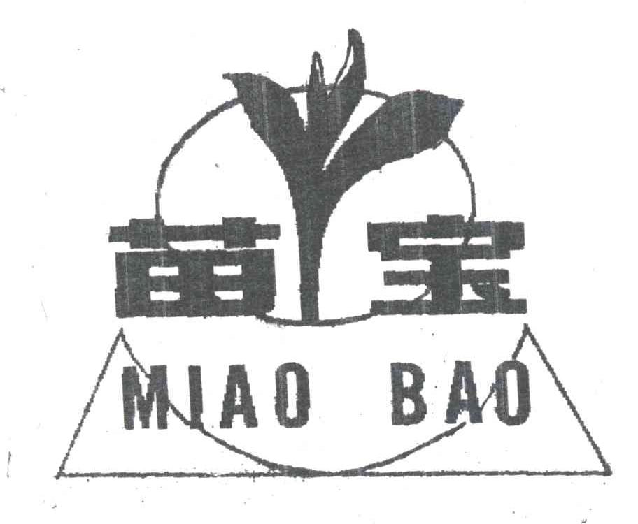苗宝