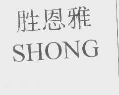 胜恩雅   SHONG
