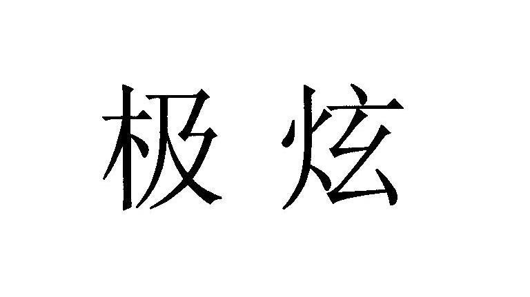 极炫