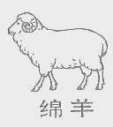绵羊