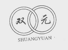 双元