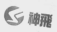 神飞