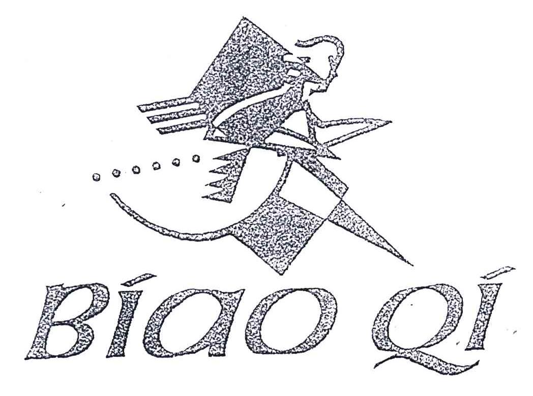 BIAOQI