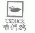 咱们鸦;USDUCK