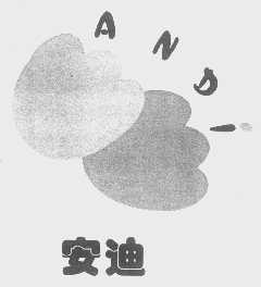 安迪