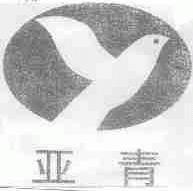 亚青