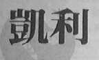 凯利