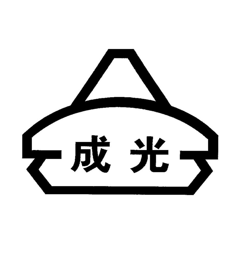 成光