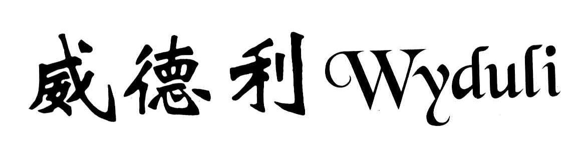 威德利 WYDULI