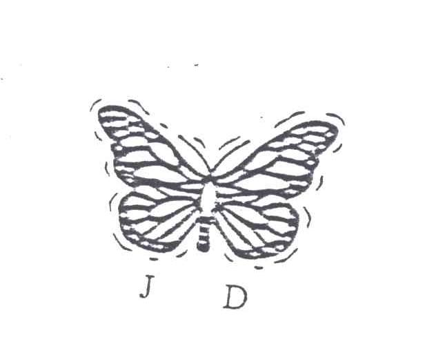 JD及图形