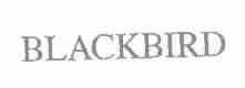 BLACKBIRD