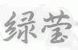 绿莹