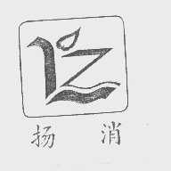 扬消