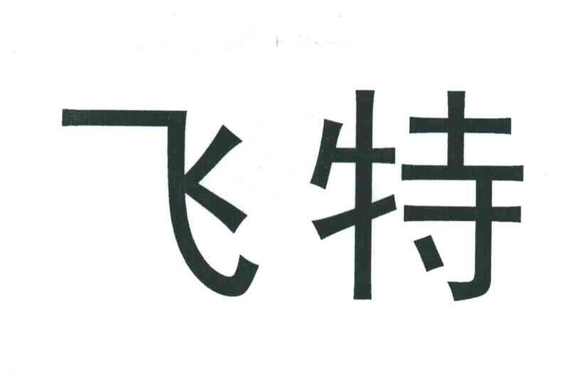 飞特
