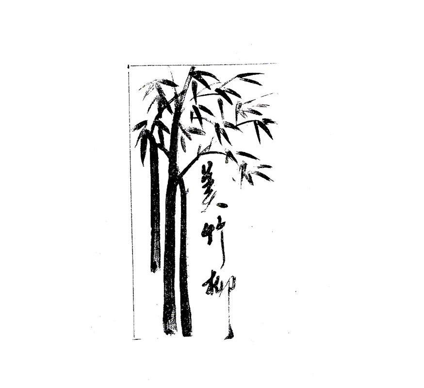 美竹柳