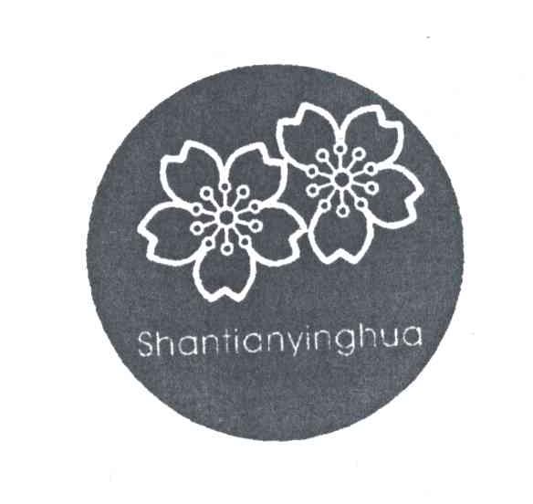 SHANTIANYINGHUA