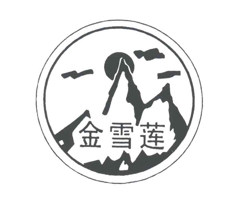 金雪莲