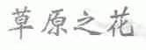 草原之花