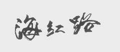 海红路
