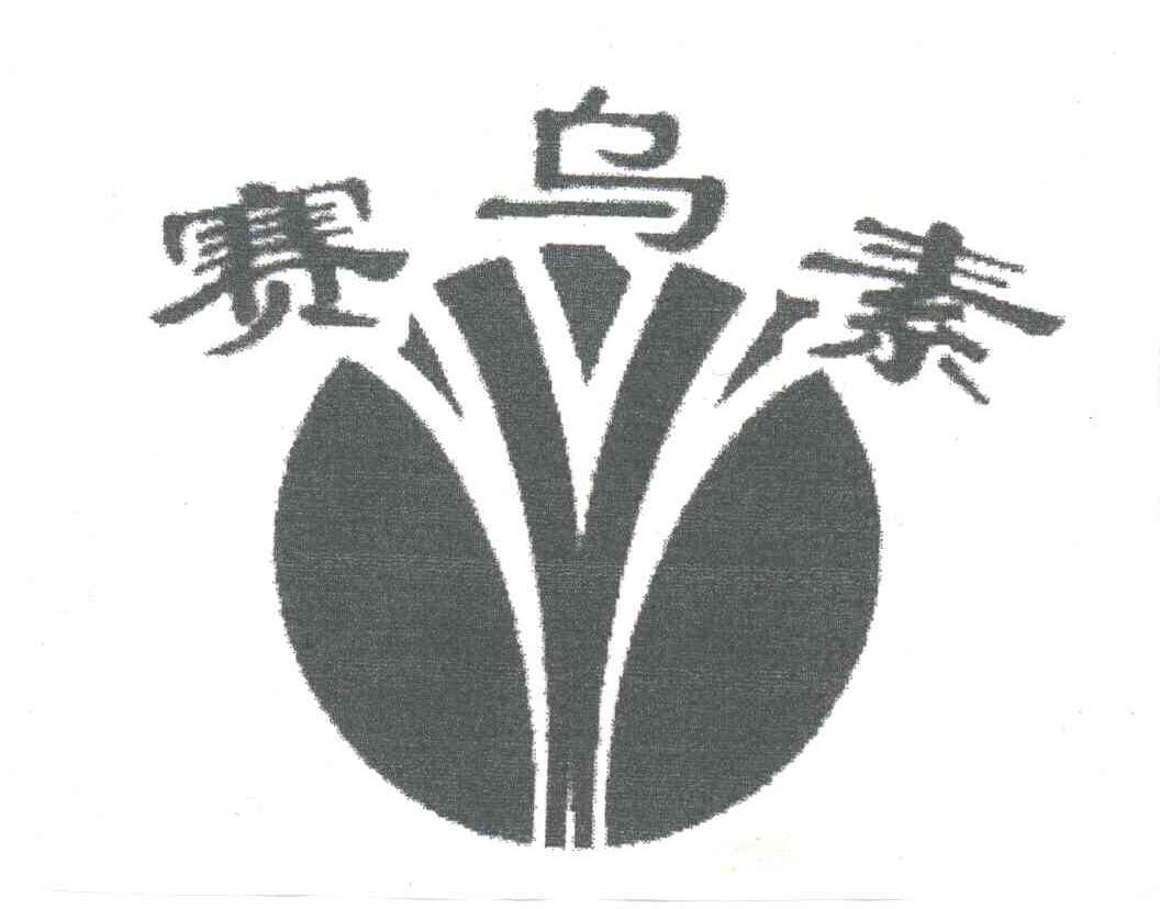 赛乌素
