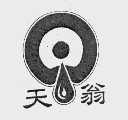 天翁