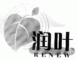 润叶;RENEW