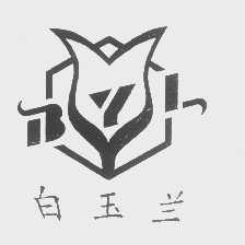 白玉兰   BYL