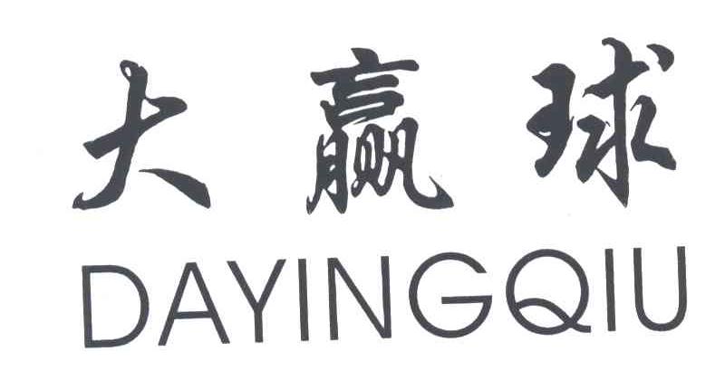 大赢球