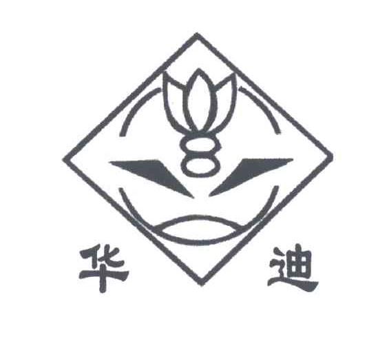 华迪