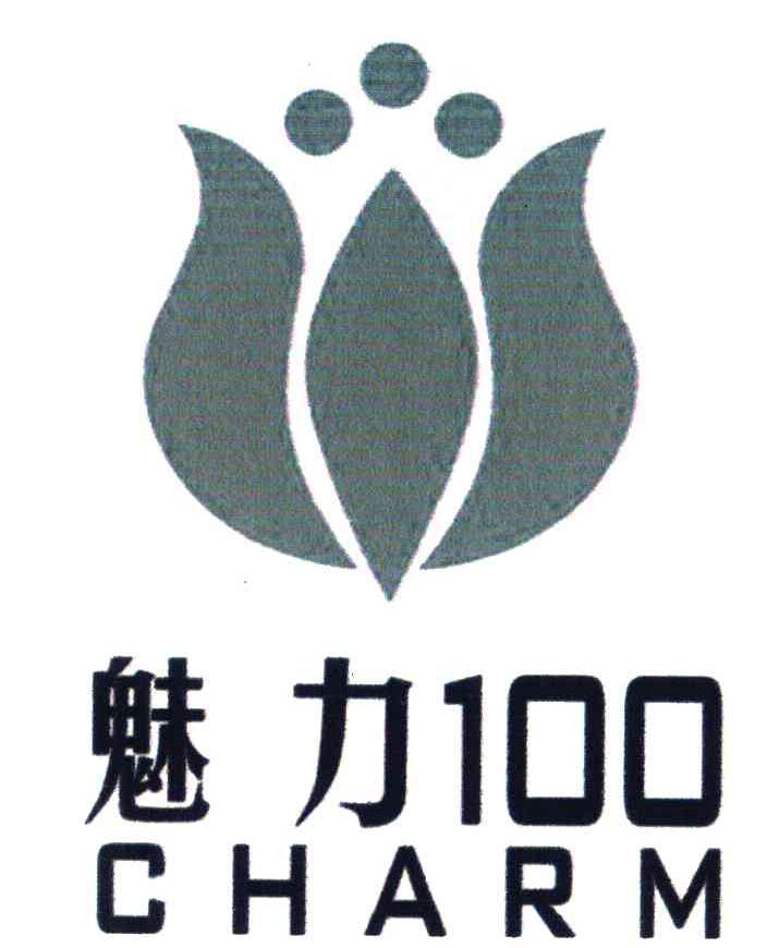 魅力100;CHARM