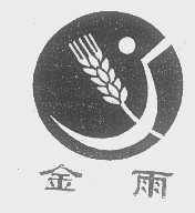 金雨