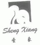 圣象