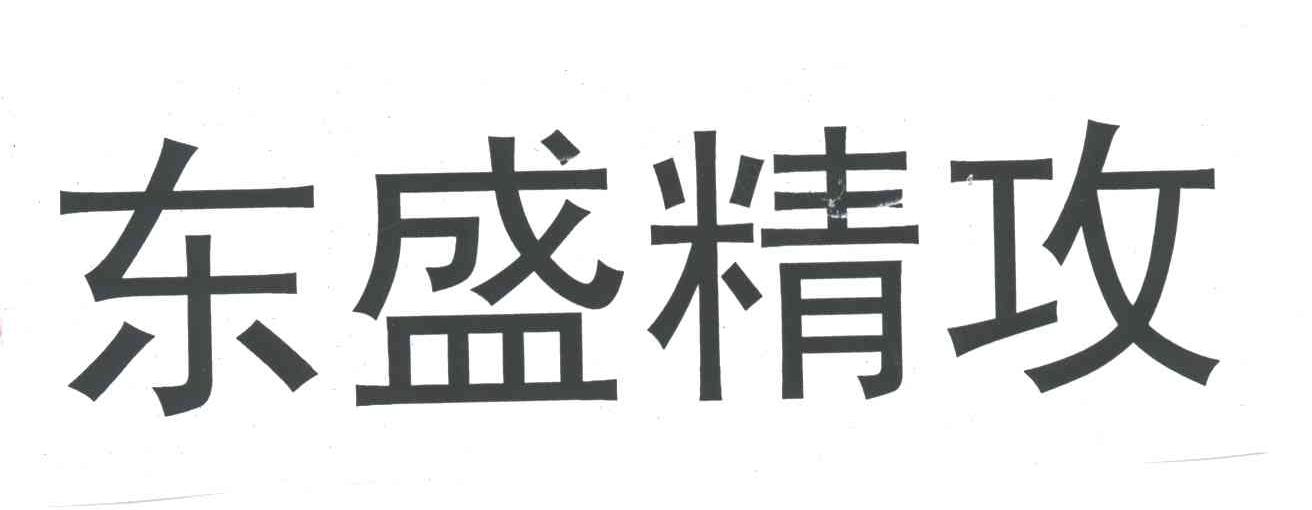 东盛精攻